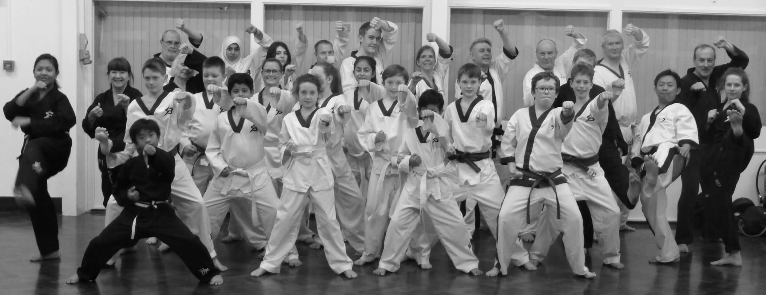 Princes Risborough Taekwondo Class